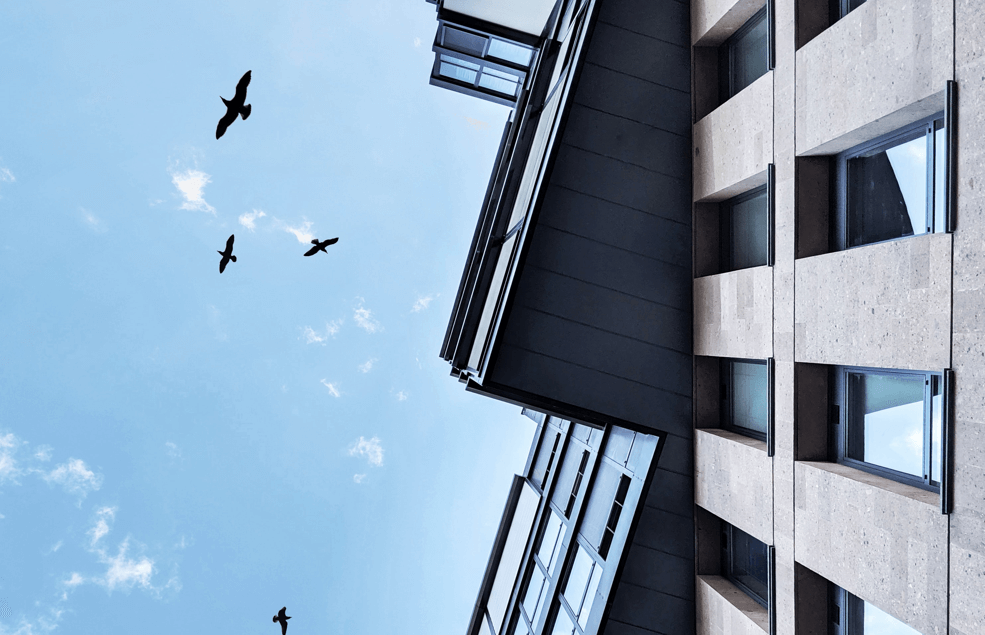 Novalok Inmobiliaria